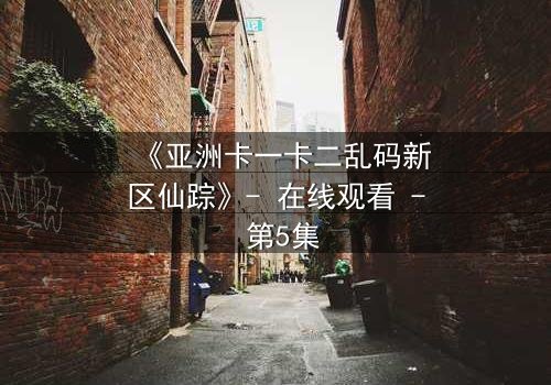 《亚洲卡一卡二乱码新区仙踪》- 在线观看 - 第5集