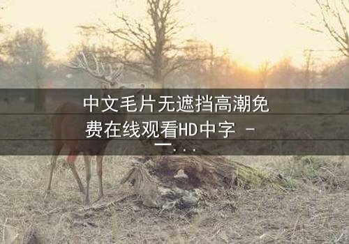 中文毛片无遮挡高潮免费在线观看HD中字 - 一场禁忌之恋的终极爆发