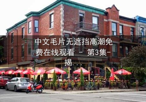 中文毛片无遮挡高潮免费在线观看 - 第3集-揭开禁忌之恋的终极真相