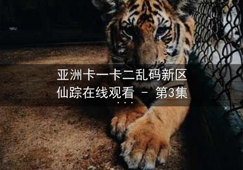 亚洲卡一卡二乱码新区仙踪在线观看 - 第3集 - 揭开数字迷宫的终极秘密