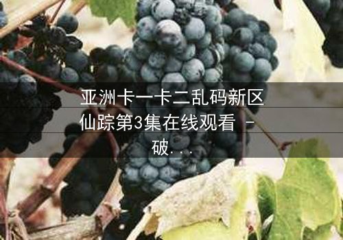 亚洲卡一卡二乱码新区仙踪第3集在线观看 - 破解乱码,揭开仙踪背后的惊天秘密!