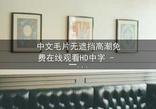 中文毛片无遮挡高潮免费在线观看HD中字 - 一场视觉与情感的极限挑战