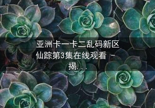 亚洲卡一卡二乱码新区仙踪第3集在线观看 - 揭开数字迷宫中的神秘仙踪