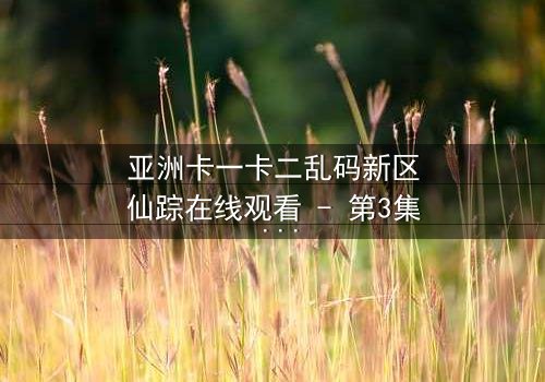 亚洲卡一卡二乱码新区仙踪在线观看 - 第3集 - 揭开数字迷雾中的奇幻冒险