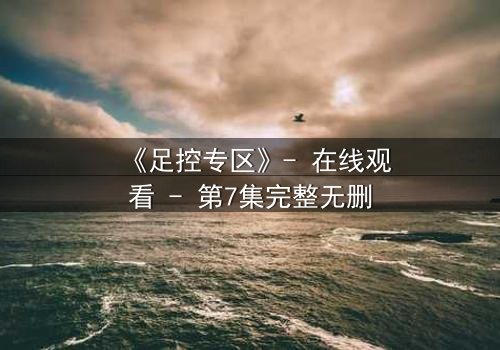 《足控专区》- 在线观看 - 第7集完整无删
