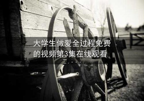 大学生做爱全过程免费的视频第3集在线观看 - 当欲望与理想激烈碰撞