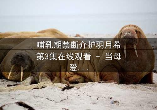 哺乳期禁断介护羽月希第3集在线观看 - 当母爱与欲望交织,谁能全身而退?