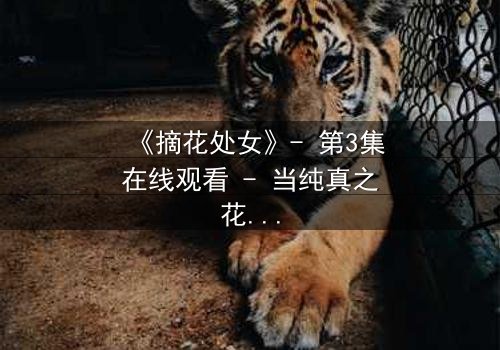 《摘花处女》- 第3集在线观看 - 当纯真之花被欲望之手触碰